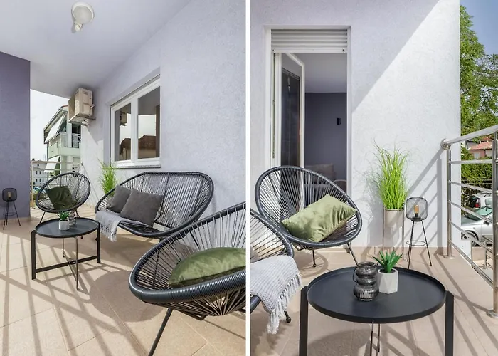 Lux Teo - New * Pula